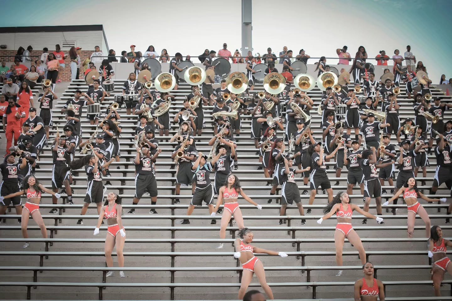 Majestic Marching Cardinals