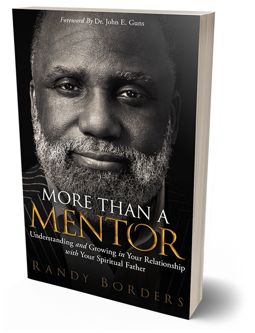 More Than a Mentor book cover
